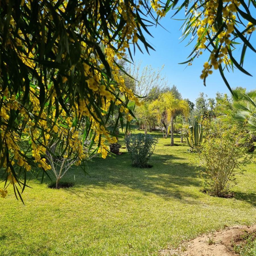 Riad Les Deux Citronniers Marakéš Exteriér fotografie