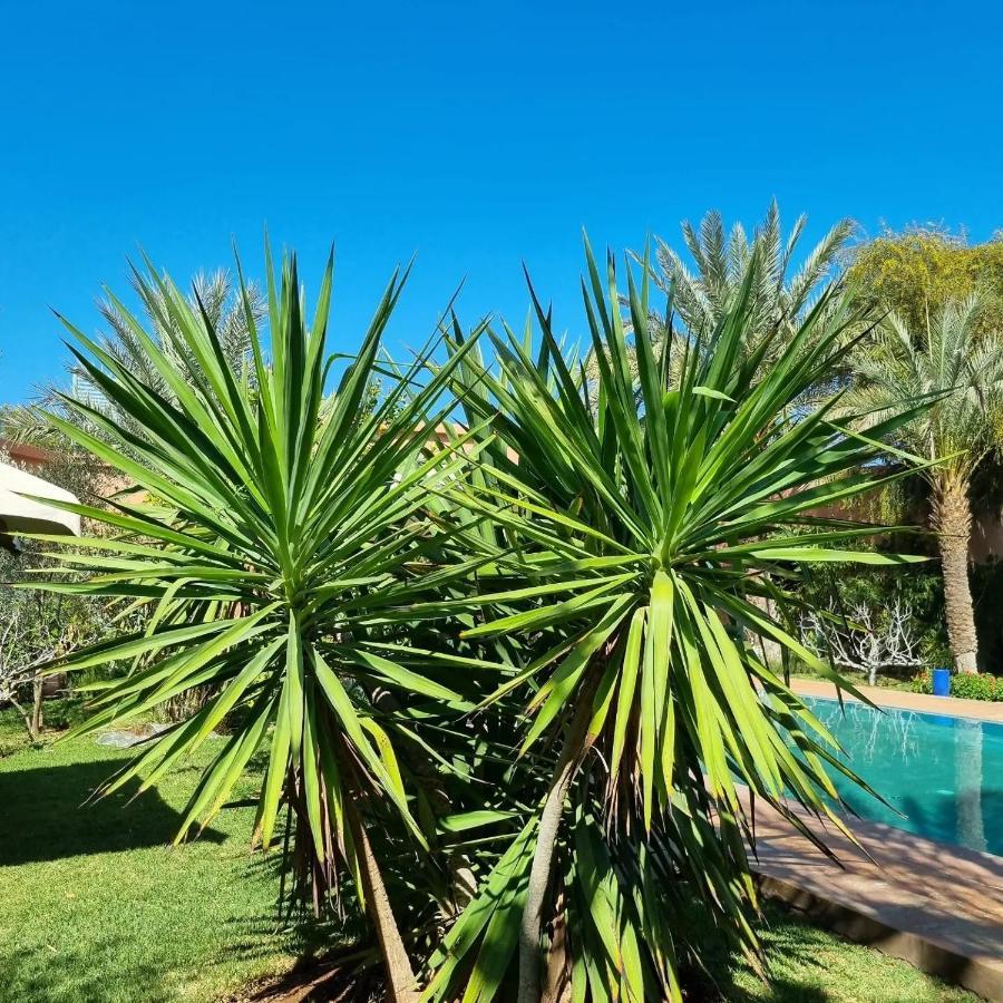 Riad Les Deux Citronniers Marakéš Exteriér fotografie