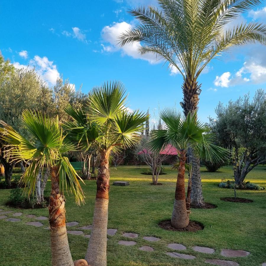 Riad Les Deux Citronniers Marakéš Exteriér fotografie