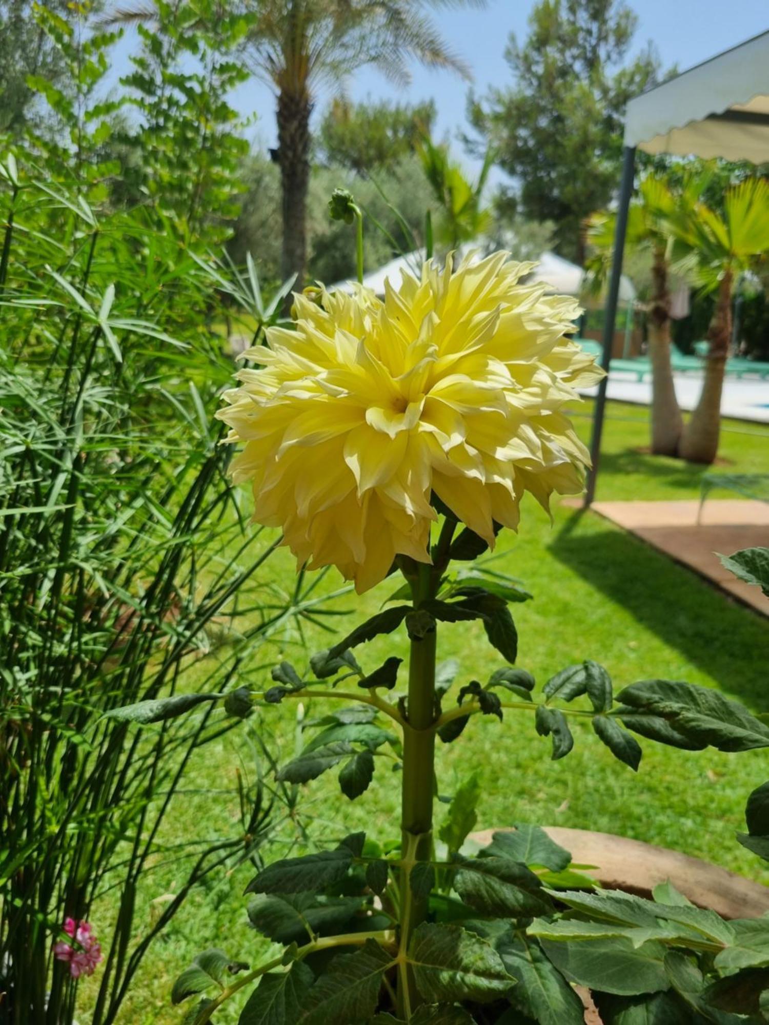 Riad Les Deux Citronniers Marakéš Pokoj fotografie