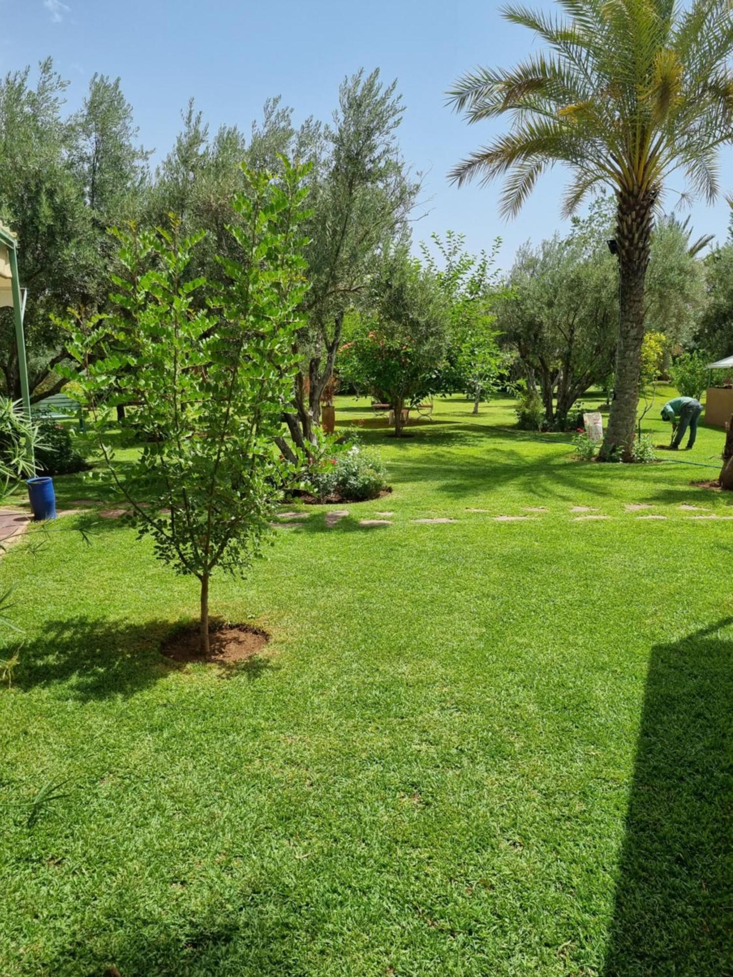 Riad Les Deux Citronniers Marakéš Pokoj fotografie